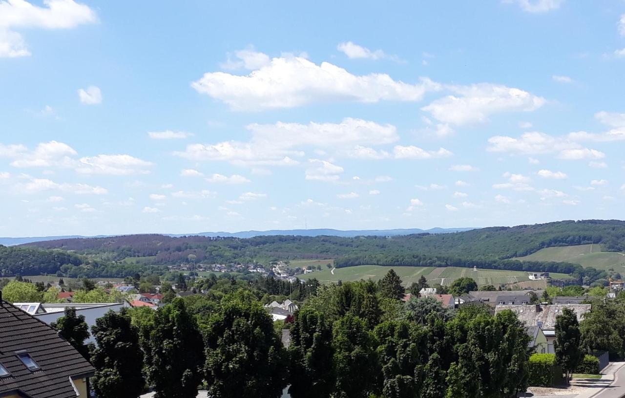 Ferienwohnung Panoramablick Perl Buitenkant foto